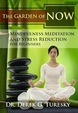 Psychologist Boca Raton Mindfulness DVD